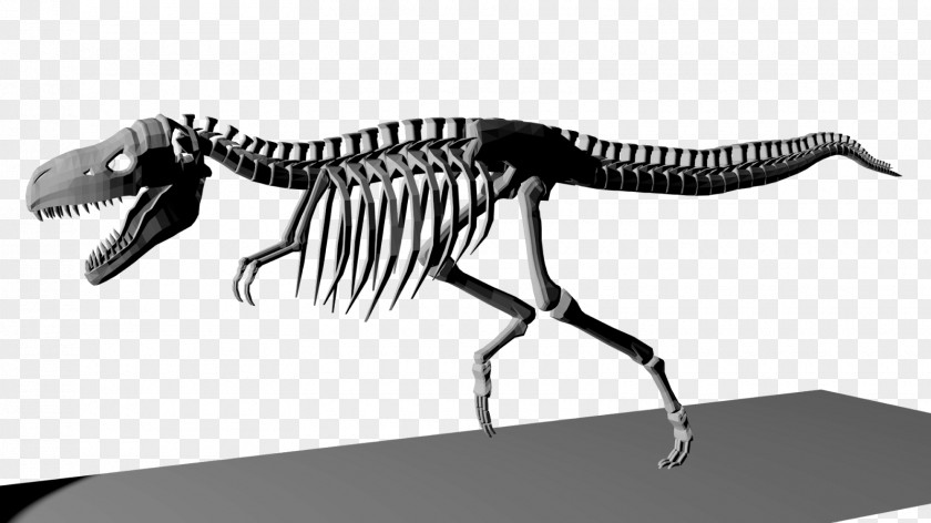 T-rex Tyrannosaurus Velociraptor Animal White Wildlife PNG