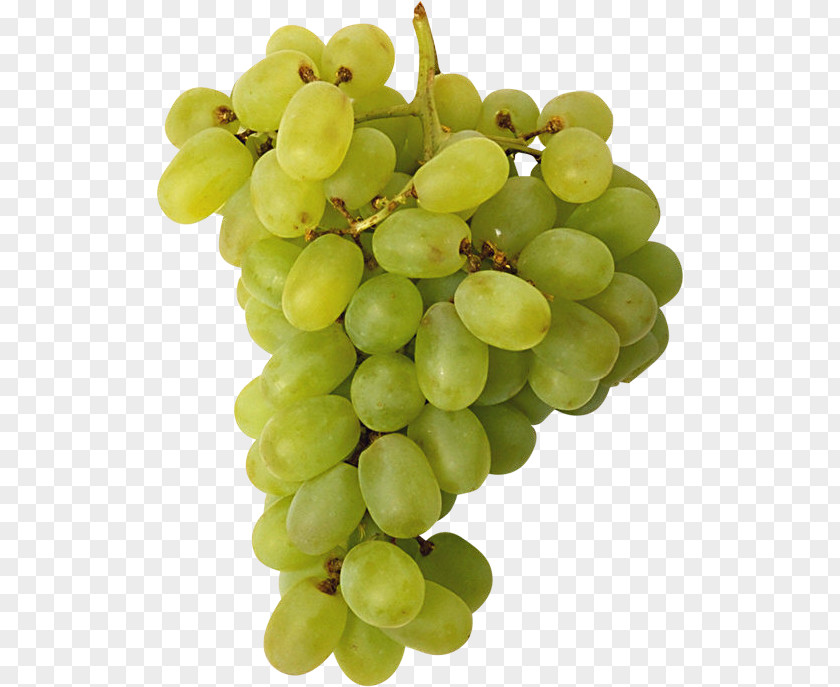 Vector Grapes In Kind Wine Common Grape Vine Rosxe9 Raceme PNG