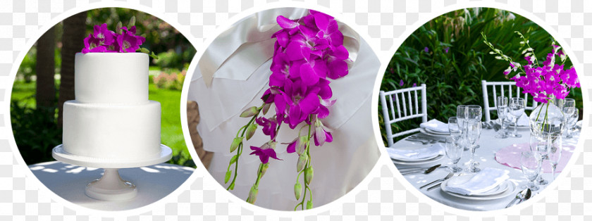 All-inclusive Resort Cut Flowers Floristry Wedding PNG