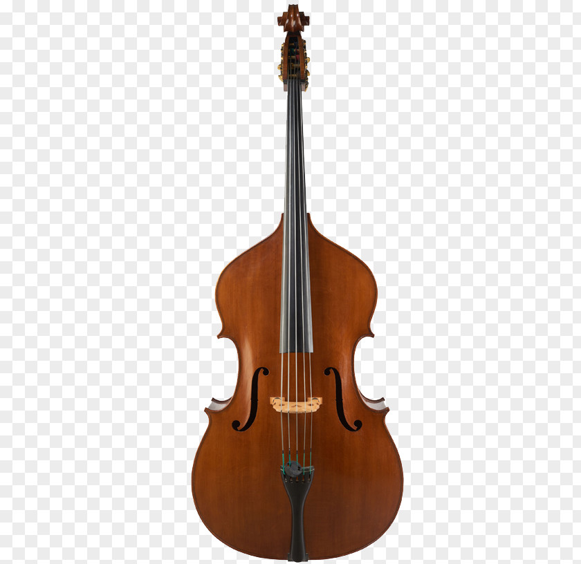 Bass Double String Instruments Violin Cello Musical PNG