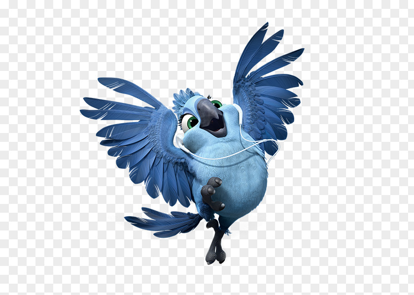 Blue Parrot Blu Rio Cinema Icon PNG
