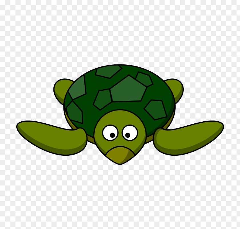 Cartoon Turtle Animation Clip Art PNG