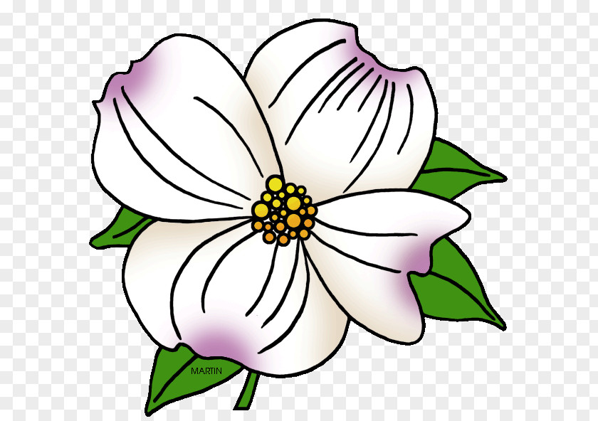 Flower Flowering Dogwood Virginia Clip Art PNG