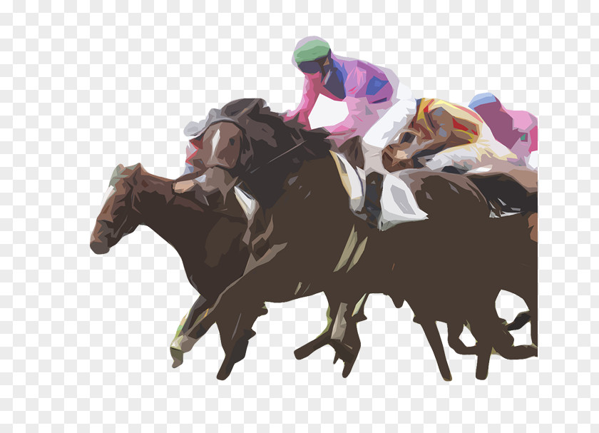 Horse Racing Professional Sports Athlete Football Player PNG