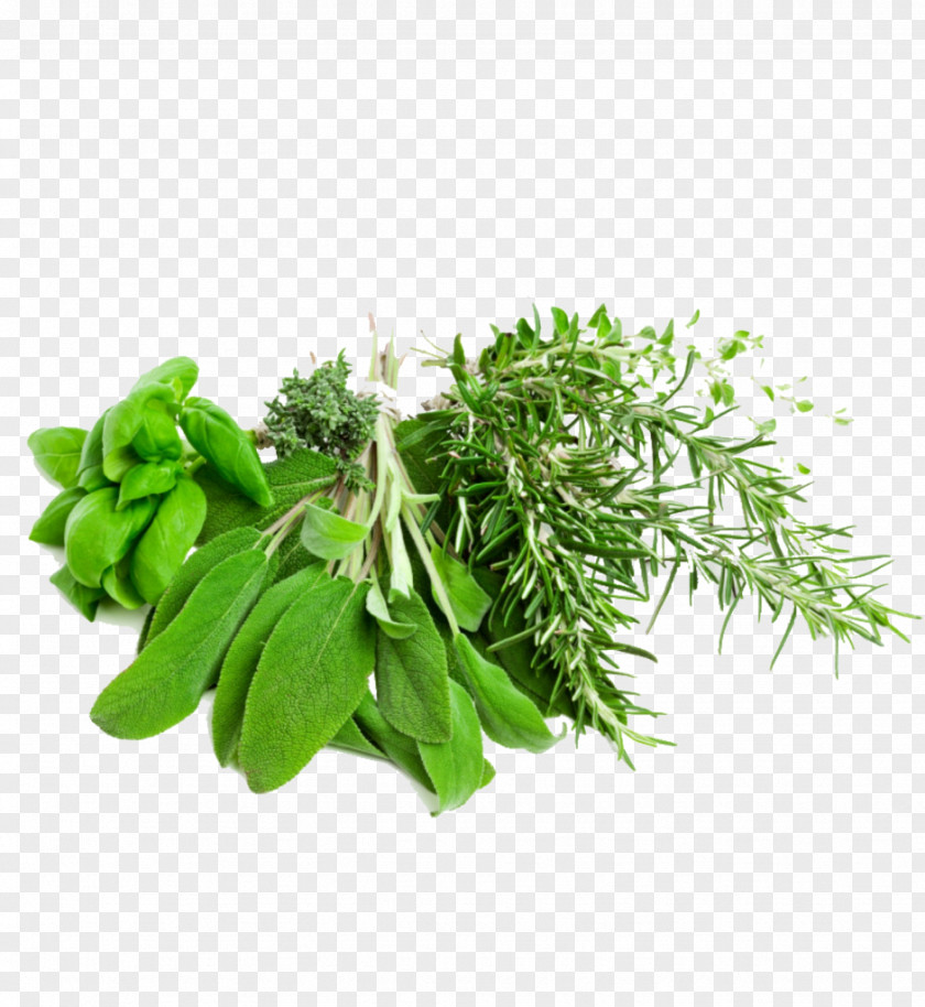Vegetable Herb Mediterranean Cuisine Food Filé Powder PNG