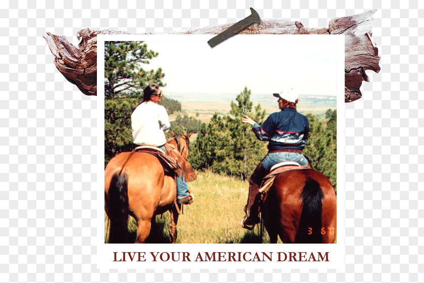 American Dream White River Ranch Themar Cowboy Western Riding Equestrian PNG