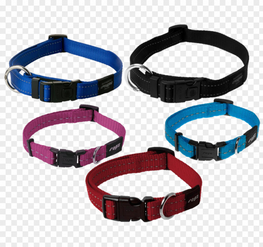 Collar Dog Leash Harness Pug PNG