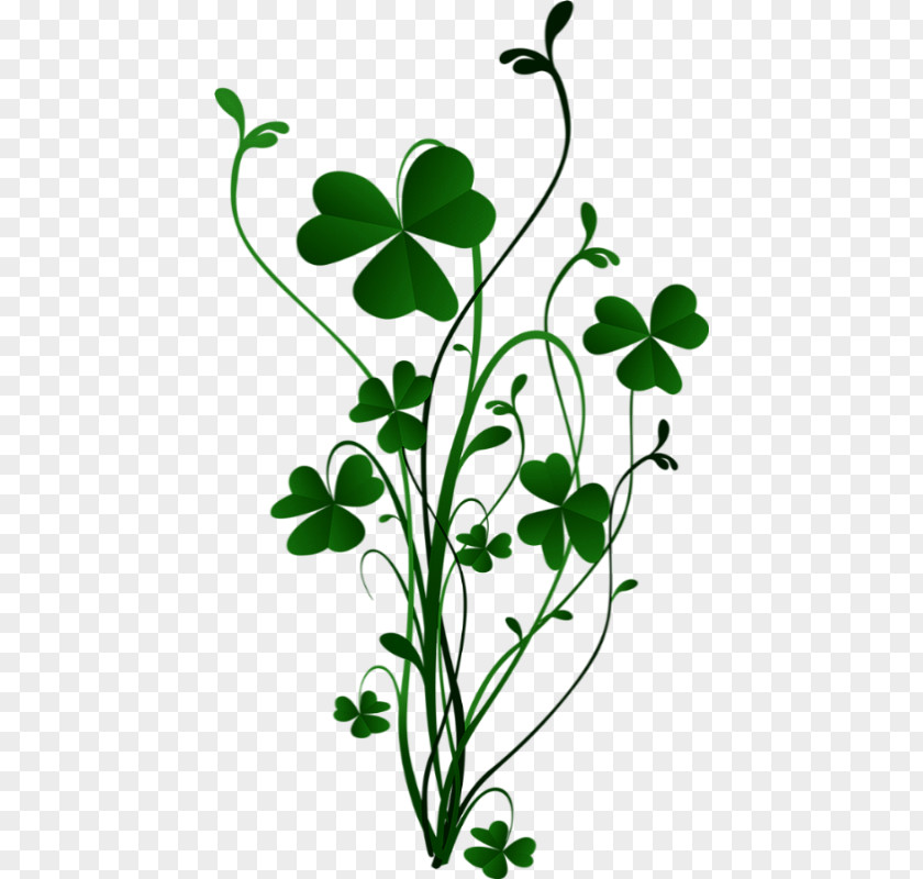 Design Shamrock Four-leaf Clover Stock Photography PNG