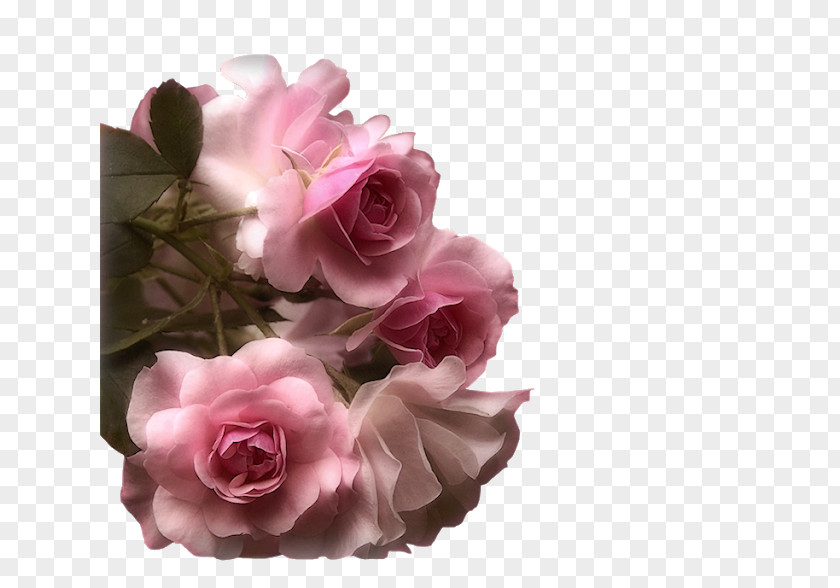 Flower Bouquet Romance Film Garden Roses PNG