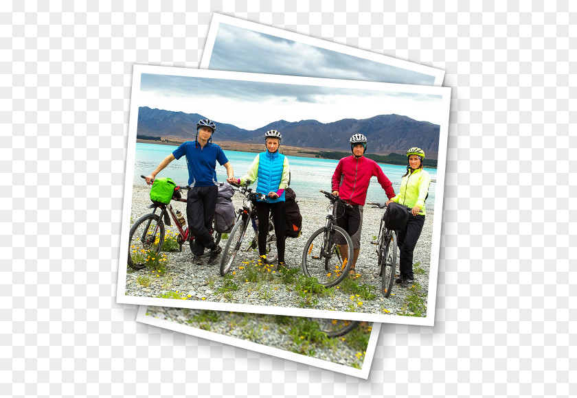 Kidney Travel Insurance Cycling Bicycle PNG