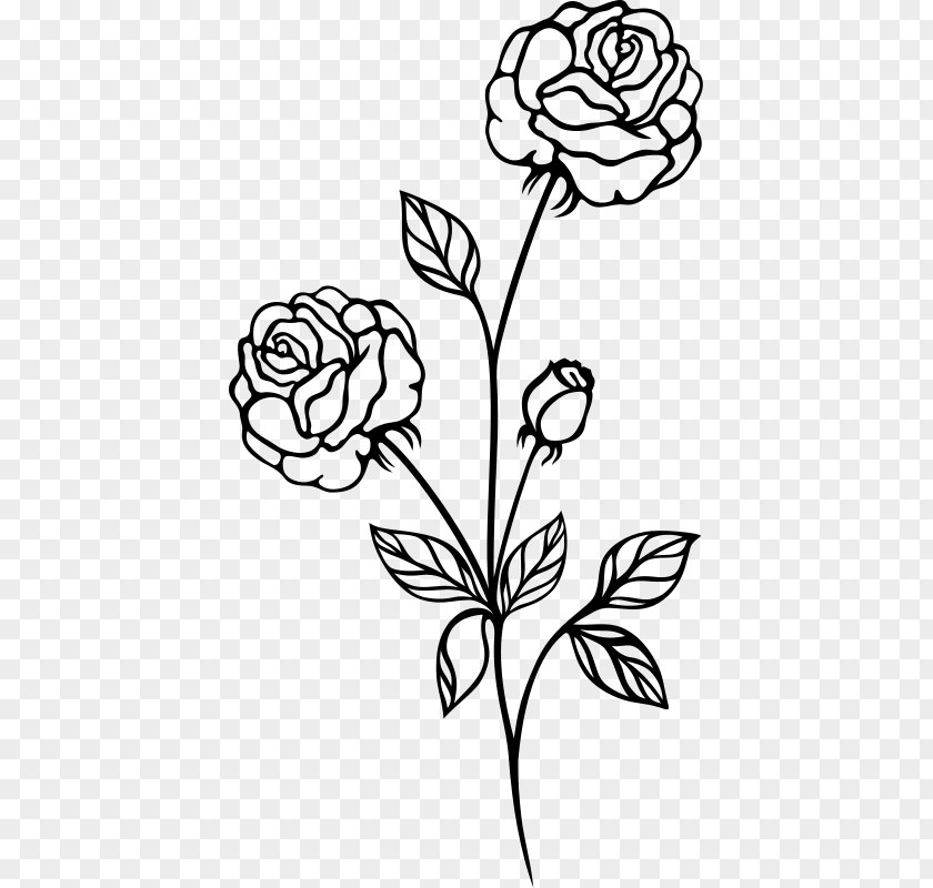 Rose Drawing Shrub Clip Art PNG