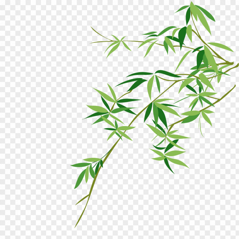 Vector Bamboo Bambusodae Chinese Painting PNG