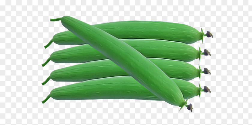 Vegetable Green Beans Commodity PNG
