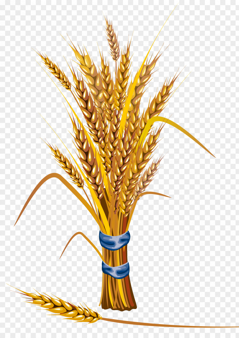 Wheat Icon PNG