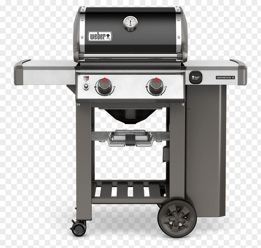 Barbecue Weber Genesis II E-210 Propane Weber-Stephen Products Natural Gas PNG