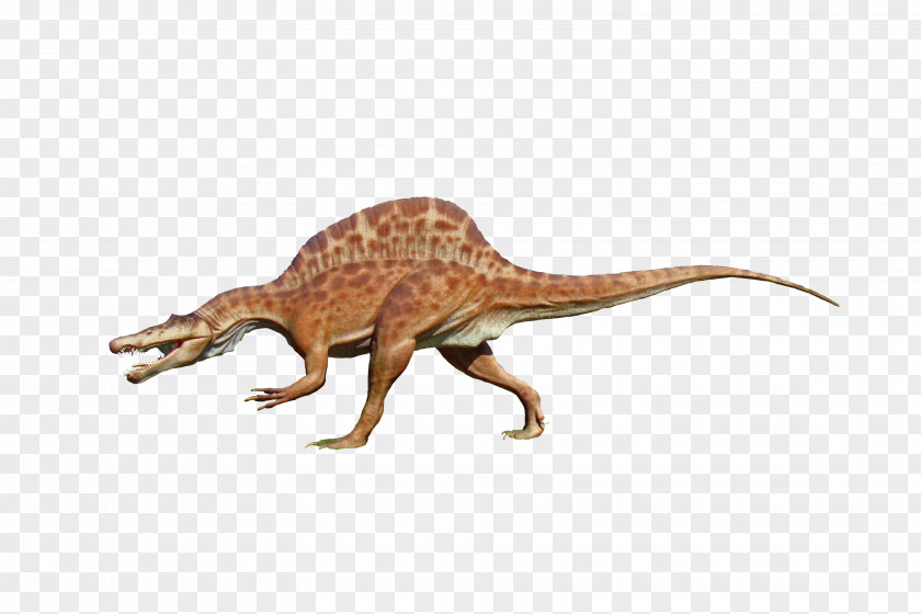 Dinosaur Velociraptor Tyrannosaurus PNG