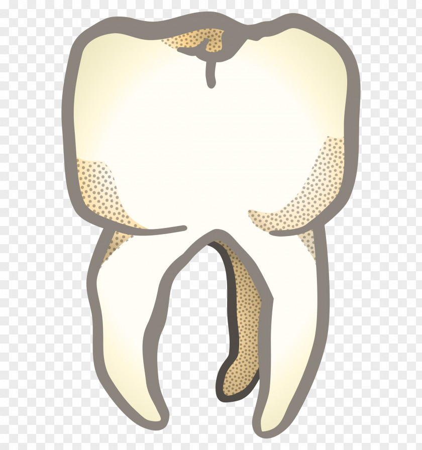 Teeth Tooth Jaw Clip Art PNG