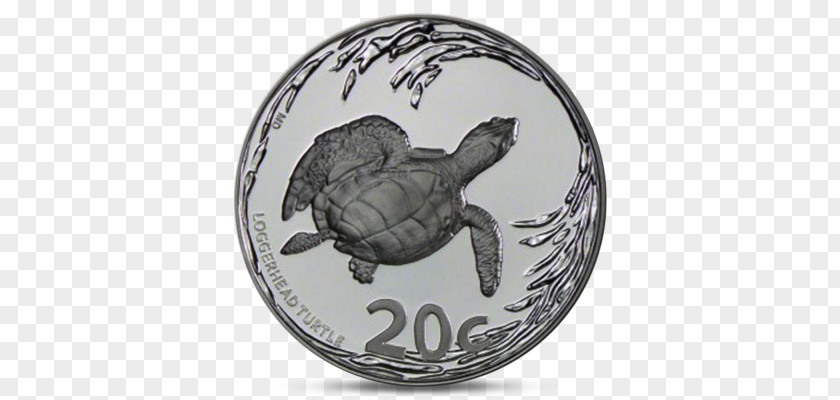 20 Cent Euro Coin Tortoise Pond Turtles Sea Turtle PNG