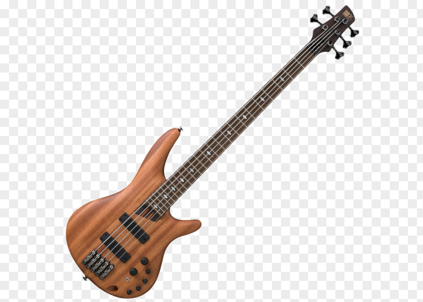 Bass Guitar Ukulele Soprano Musical Instruments String PNG