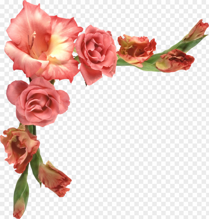 Bonbones Flower Clip Art PNG