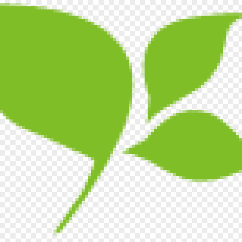 Environment-friendly Leaf Plant Stem Green Font PNG