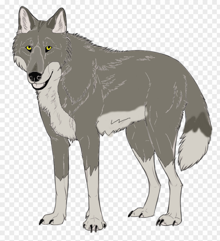 New Entry Saarloos Wolfdog Czechoslovakian Coyote Gray Wolf Red PNG