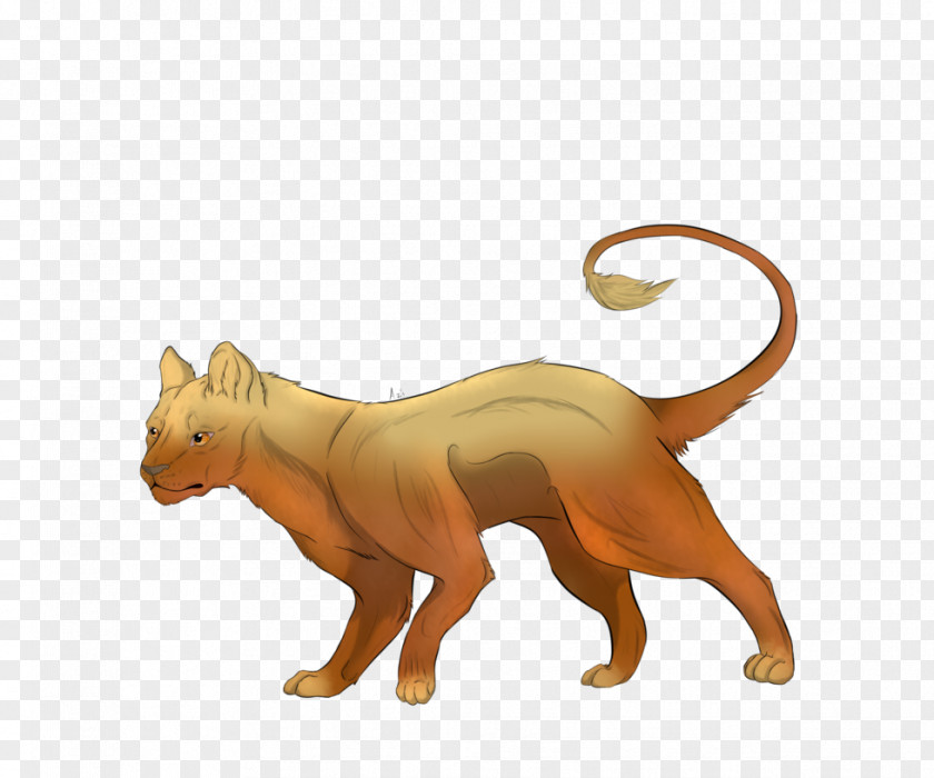Cat Dog Canidae Terrestrial Animal Snout PNG