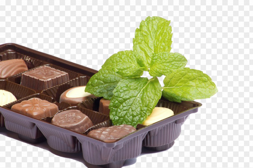 Chocolate And Mint Closeup Herb PNG