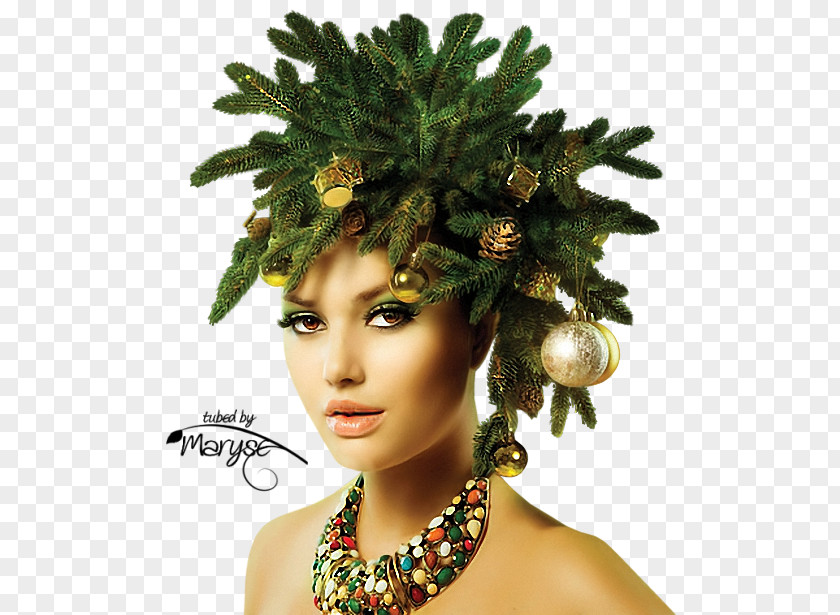 Christmas Make-up Snegurochka Hairstyle Holiday Fashion PNG
