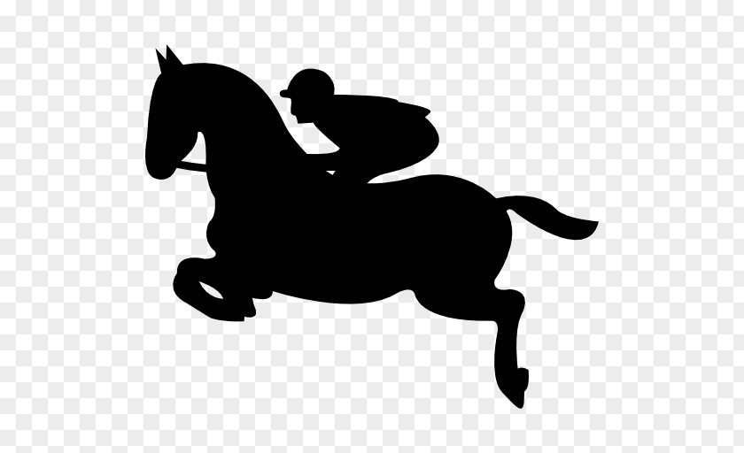 Horse Horse&Rider Equestrian Jockey PNG