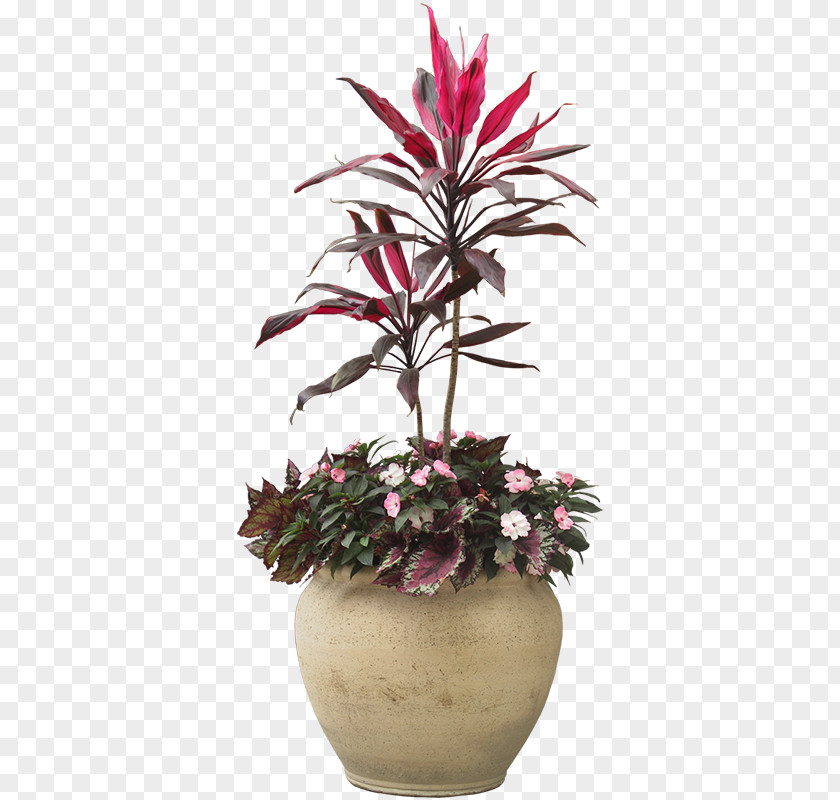 Indoor Plant Potted Plants Houseplant Flowerpot PNG