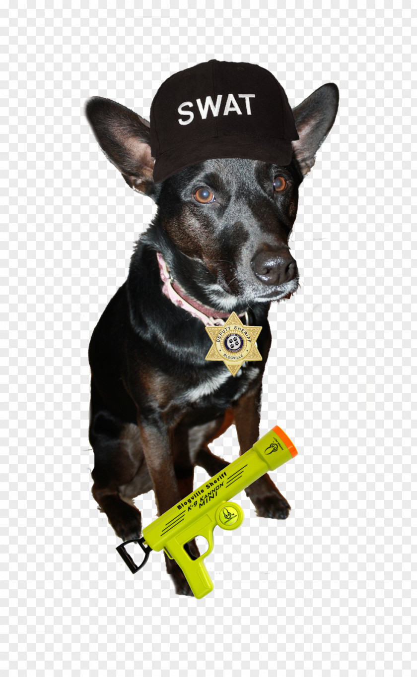 Miniature Pinscher Dog Breed Police Leash PNG