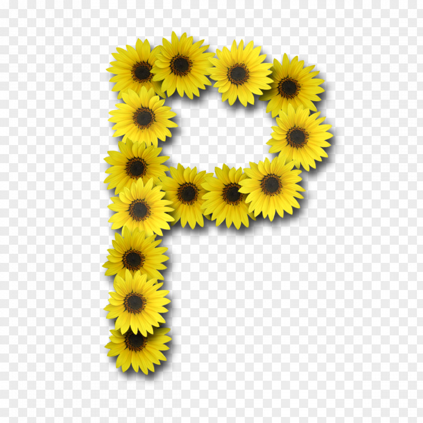 Sun Flower Alphabet Letter Common Sunflower PNG