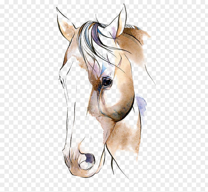 Watercolor Horse PNG horse clipart PNG