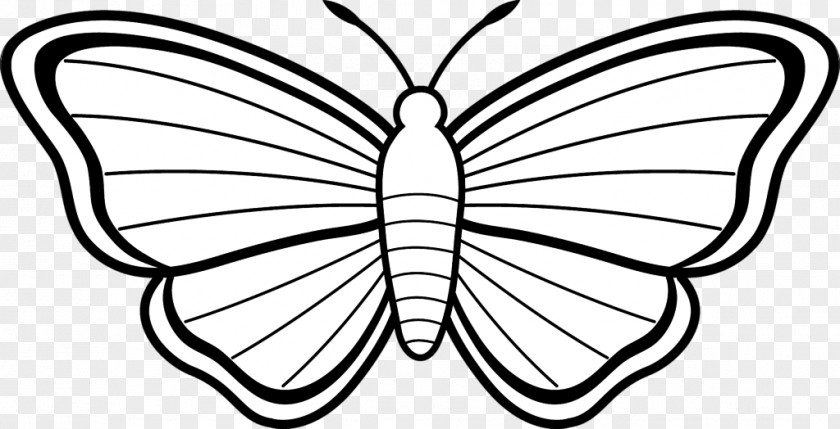 Butterfly Coloring Book Drawing Clip Art PNG