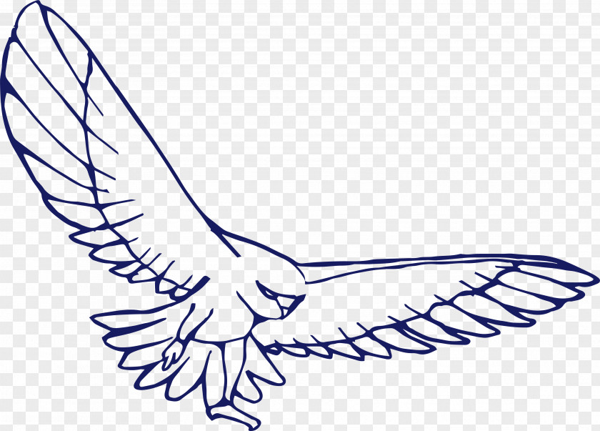 Dapeng Wings Fly Bird Drawing Eagle PNG