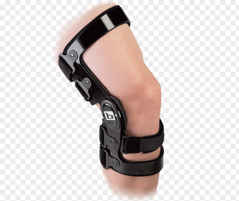 Knee Anterior Cruciate Ligament Posterior Breg, Inc. Fibular Collateral PNG