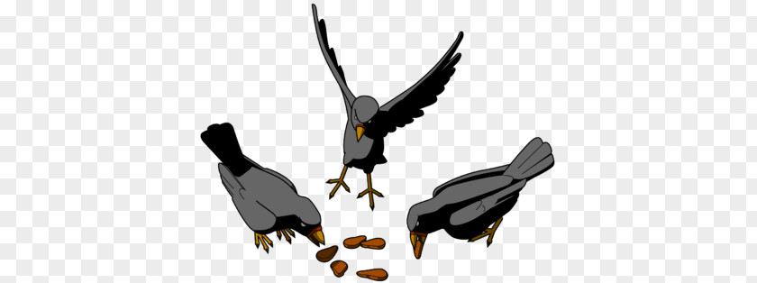 Bird Food Clip Art PNG