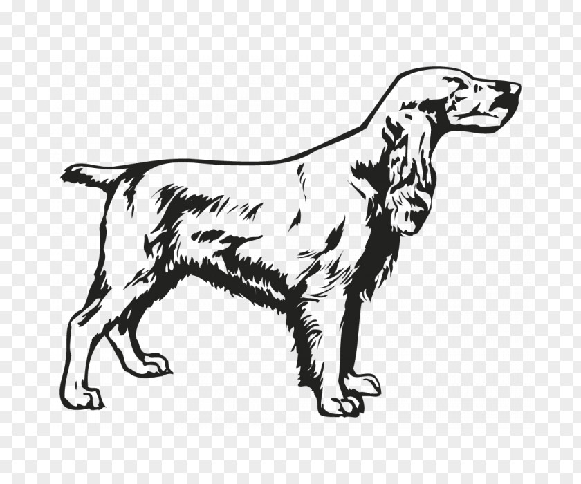 Dog Breed Sporting Group Retriever Wedding PNG