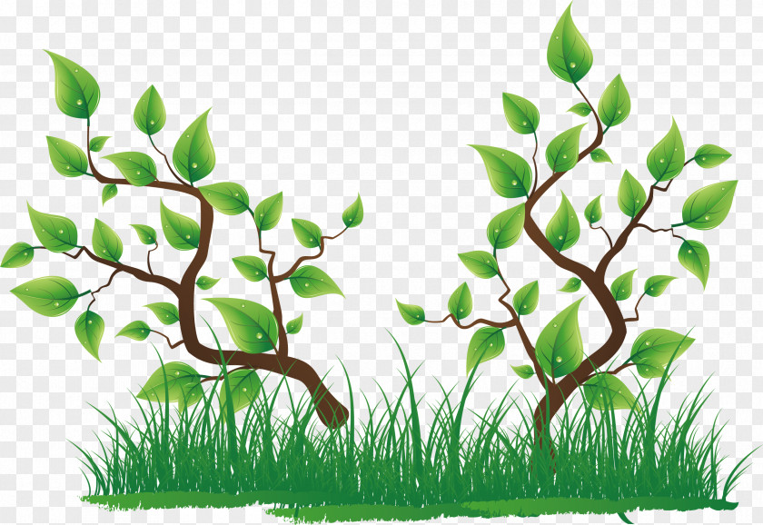 Green Grass Tree Clip Art PNG