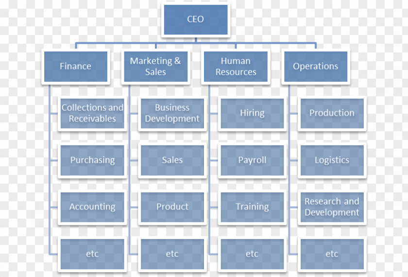 Organizational Chart Structure Functional Organization PNG