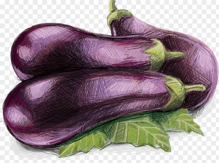 Vector Eggplant Artichoke Vegetable PNG