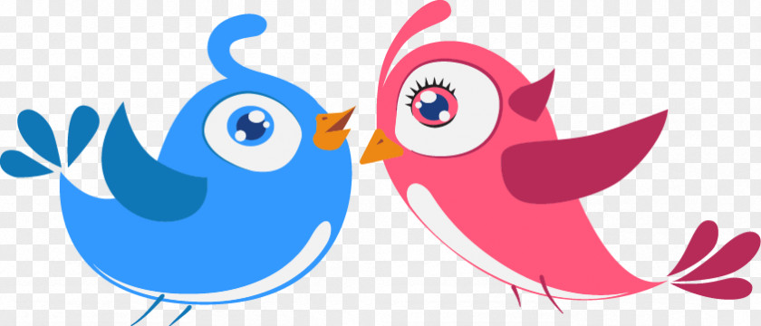 Bird Lovers Lovebird Owl PNG