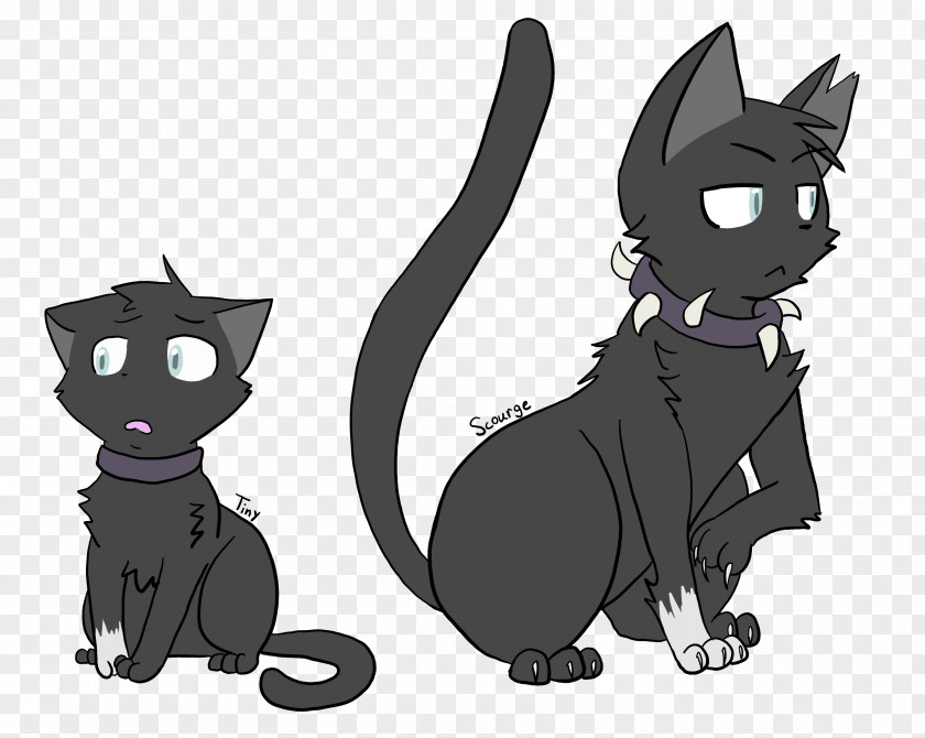 Kitten Whiskers Black Cat Warriors PNG