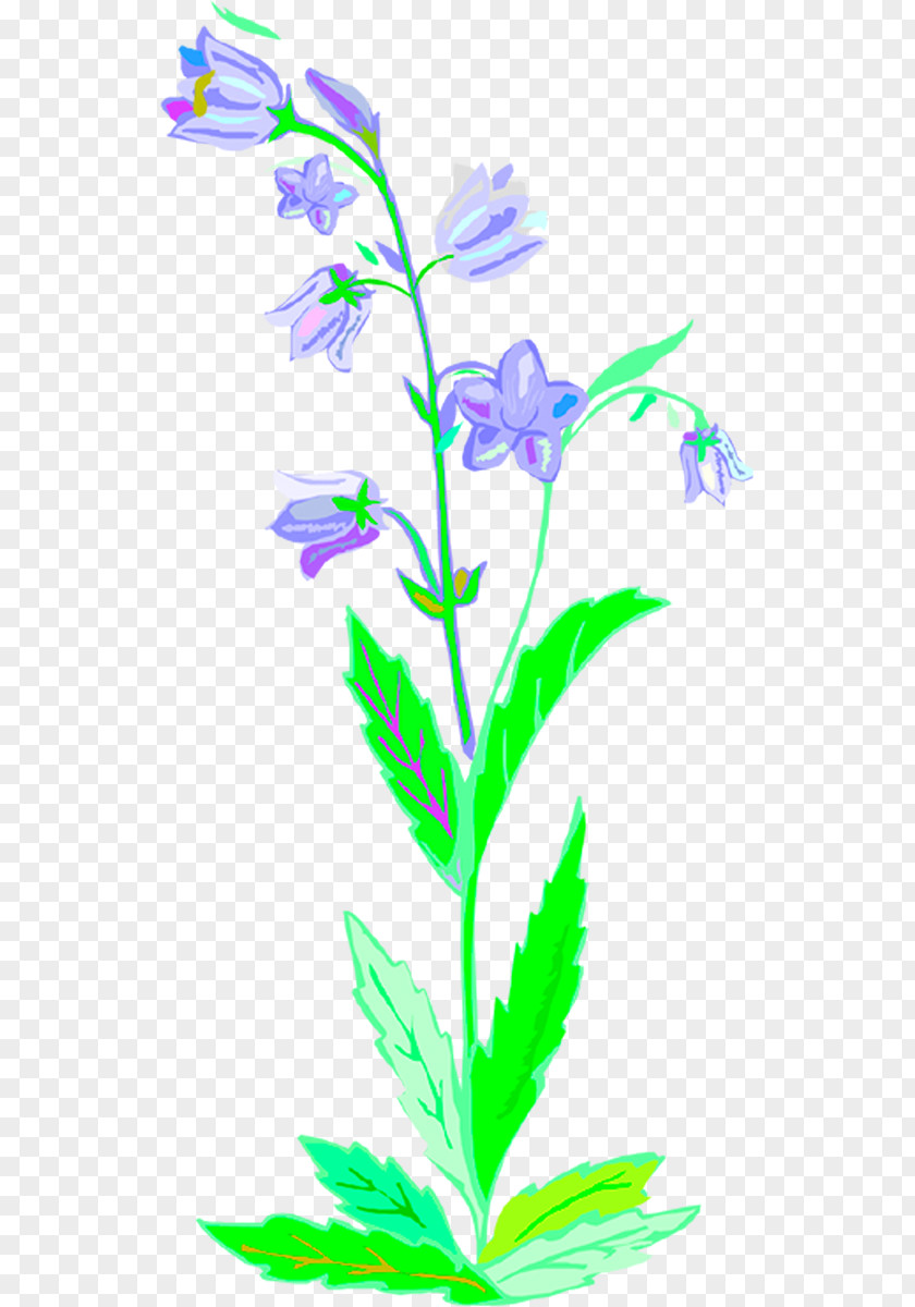 Leaf Plant Stem Lilac Flowering Clip Art PNG
