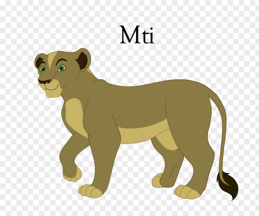 Lion Big Cat Terrestrial Animal Wildlife PNG