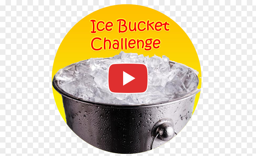 Pets Ice Bucket Challenge Stock Photography Royalty-free Image Illustration PNG