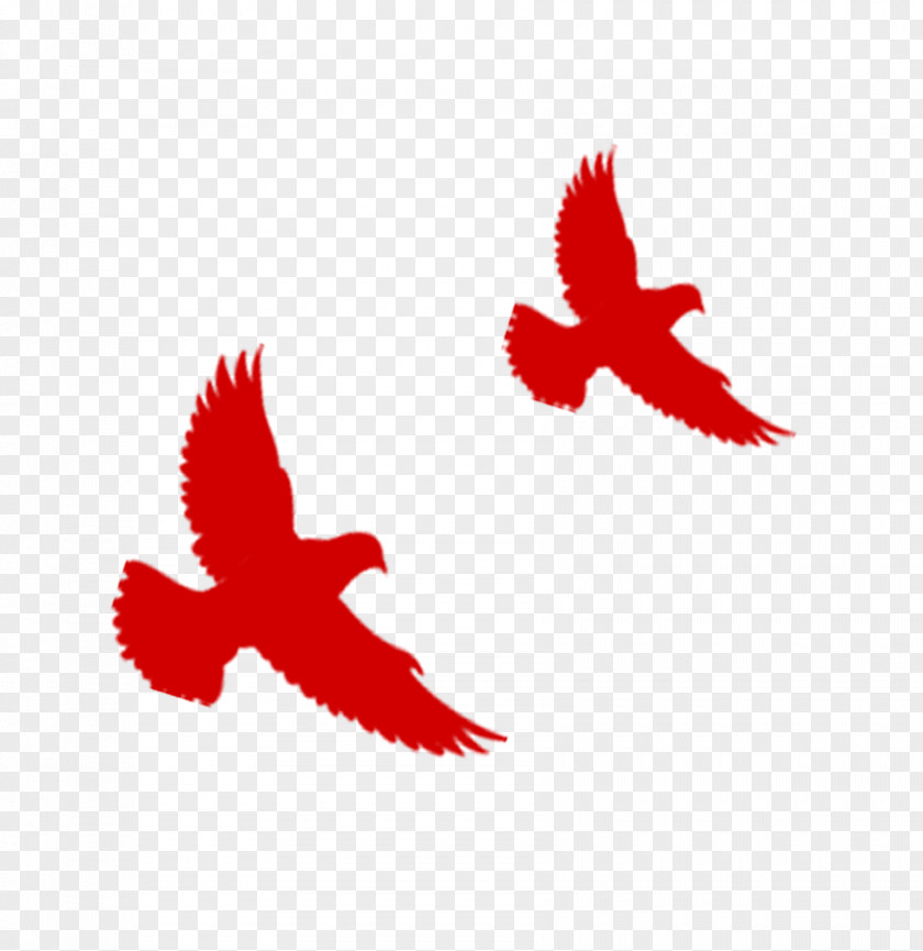 Red Flying Eagles Flight Hongmian Bird PNG