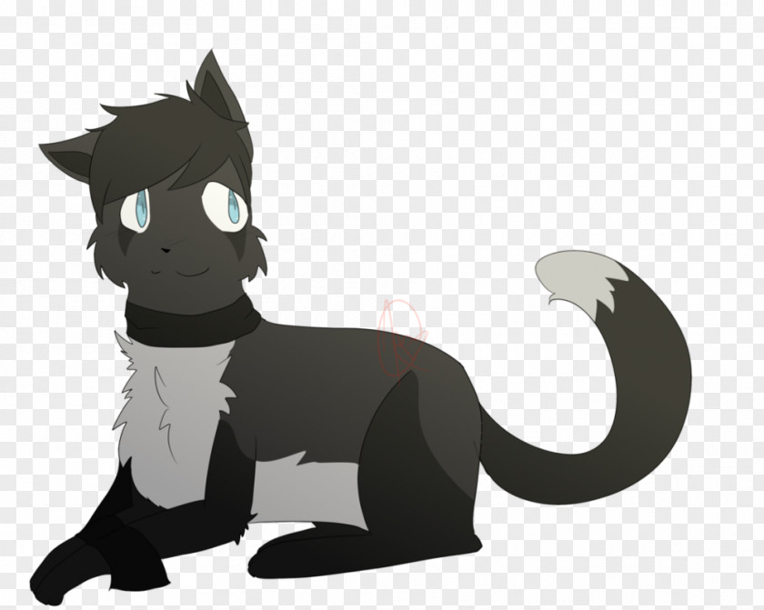Cat Whiskers Dog Horse Canidae PNG
