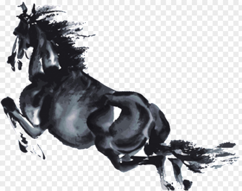 Drawing Blackandwhite Horse Stallion Animal Figure Mane Sorrel PNG